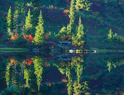 Nature\'s Mirror