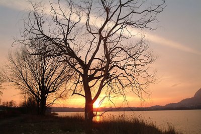 Sunset on the lake