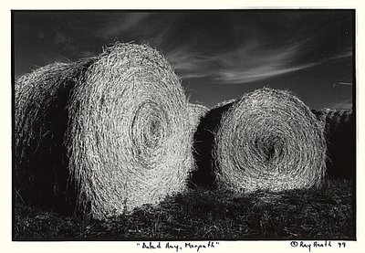 baled hay, morpeth 99