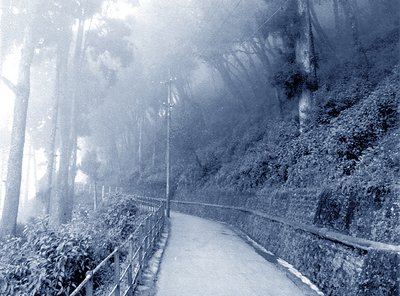 A road to walk...........