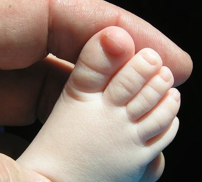 BABY TOES