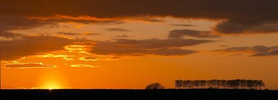 Roadside Sunset