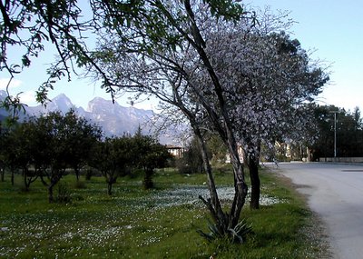 antalya/beldibi