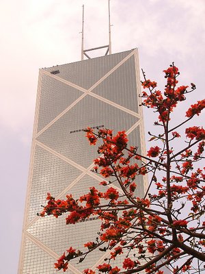 magnificent flowers and building