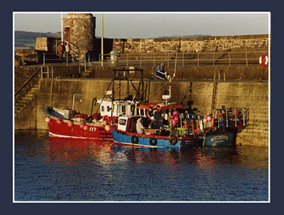 Harbour Boats