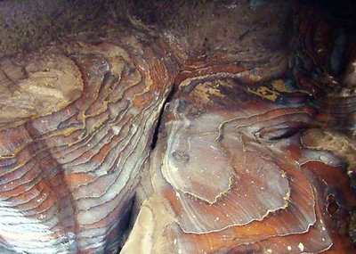 Rock formation in Petra (Jordan) 2