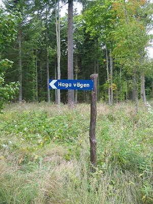 Haga Vägen