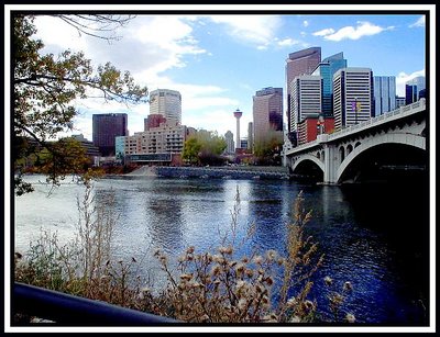 Late Autumn, Calgary, Alberta, Canada.