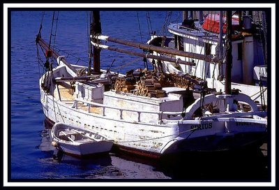 A Very Old Sailing Boat !