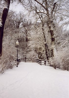 Polish winter