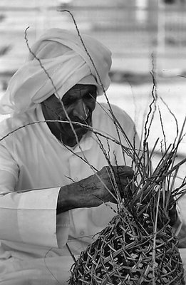 Palm Tree Products #1