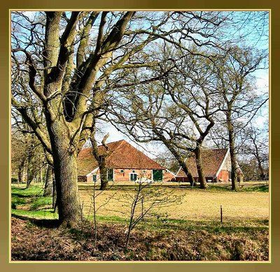 Farm in Ter Borg