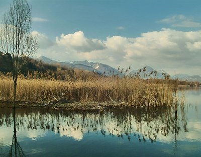 Reflections around the lake