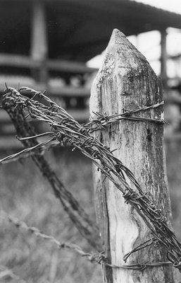 Fence & Wire