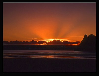 Gower rays