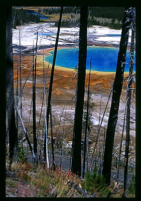 Yellowstone posters National Park