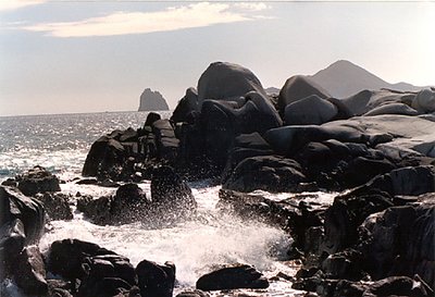 Rocky shore