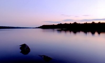 On Lake's Edge