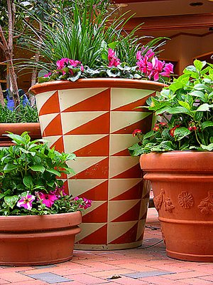 Trio of Potted Plants