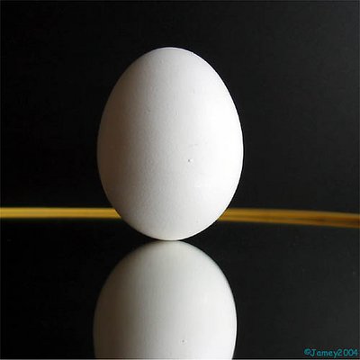 Zen and the Art of Egg Balancing