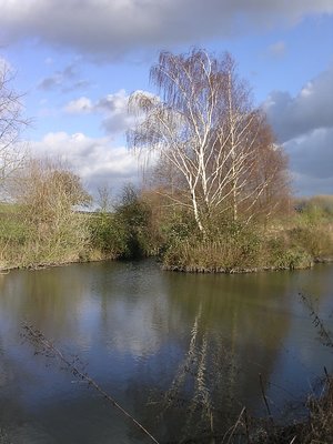 mill pond