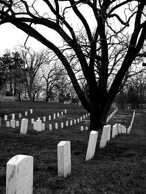 Arlington National Cemetary