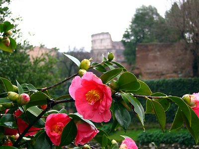 Roman Spring