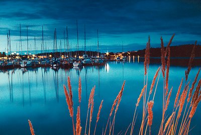 Rushes and masts