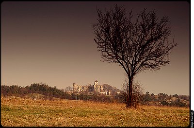 Castle of Tenczyn