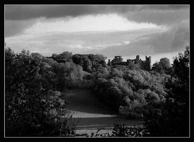 Dynevor castle