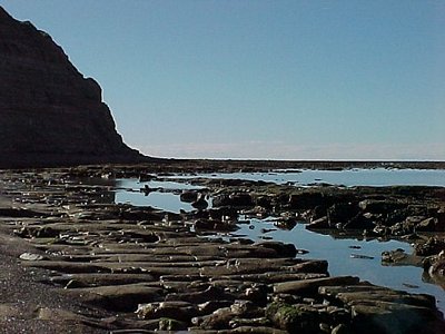 Patagonian Beach