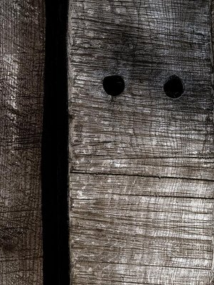 eyes in a piece of wood