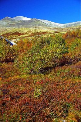 Autumn day 