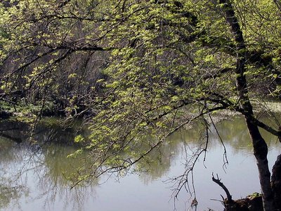 water flow reflection