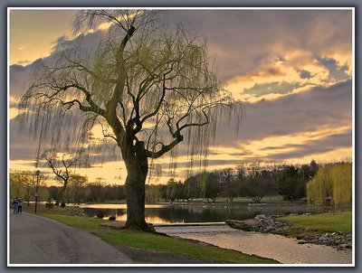 Evening Walk