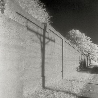 Dream Walk