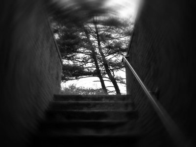 Up the secret stairs