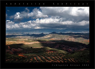 Andalusian Landscape