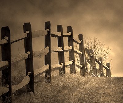 Rail Fence at Early Light