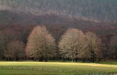 Campo Pratoli Frosinone, Italy