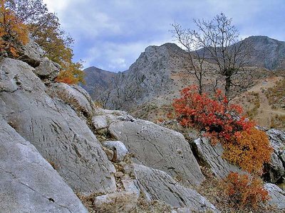 Mount Nemrud