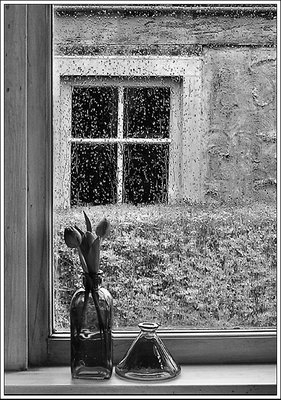 Wet Day At Home