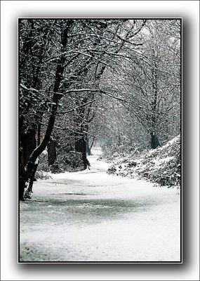 Winter's Path...
