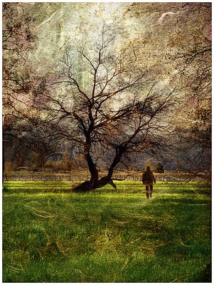 Shade of the nature