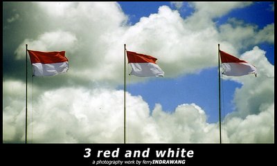 3 red and white