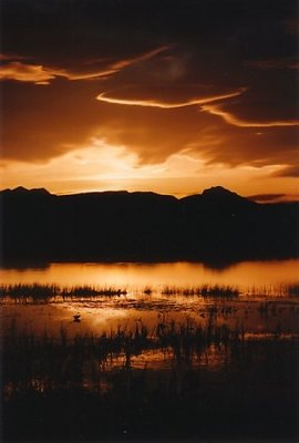 Montana Sunset 4
