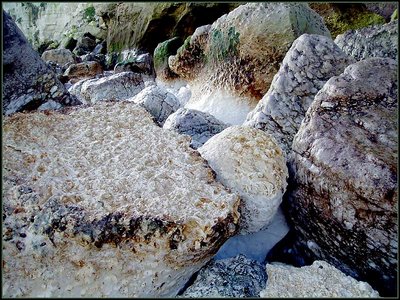 Rock Jungle