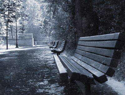 Silent Benches 2