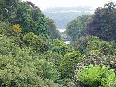 Shades of Green