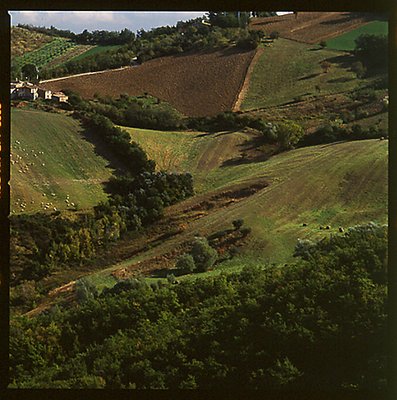 Green Italian hills posters